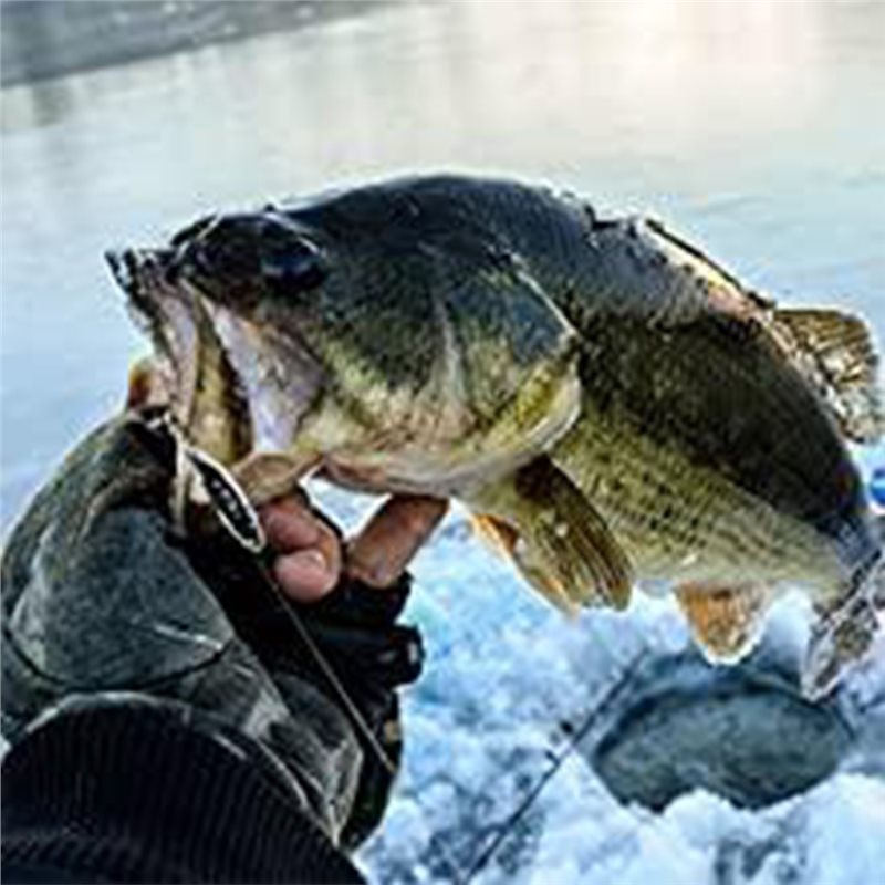 ABLB-Kayak Boat Fishfinder Tra - Fishing Boat Depth Finder review and price
